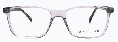Cactus 883205