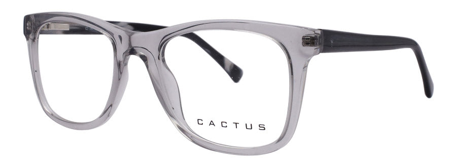 Cactus 883207