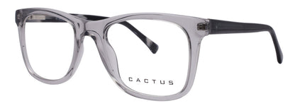 Cactus 883207