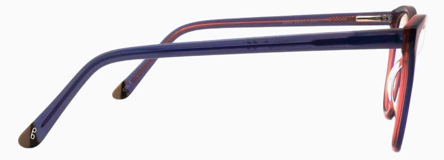 Optica 8844