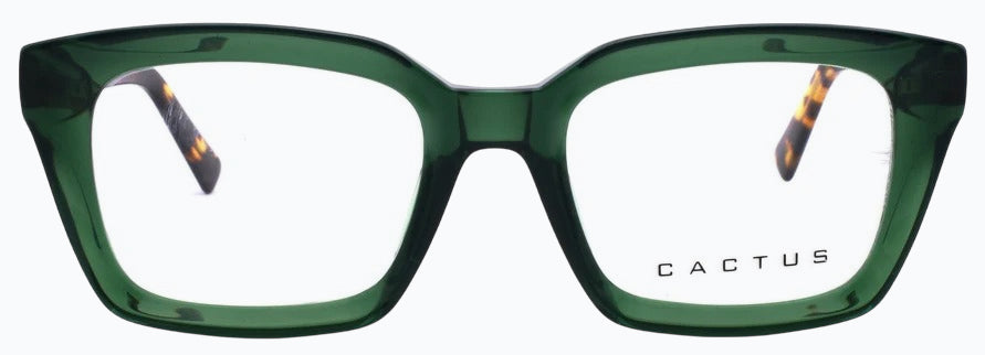 Cactus 884705