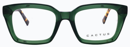 Cactus 884705