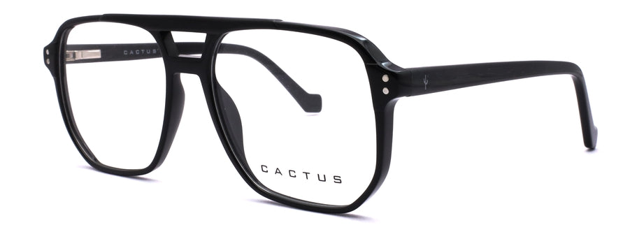 Cactus 884708