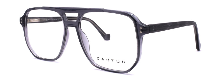 Cactus 884708