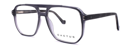Cactus 884708