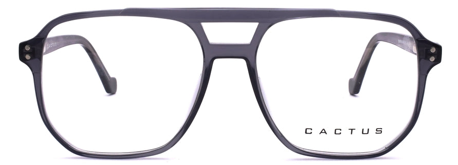 Cactus 884708