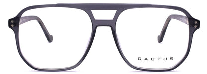 Cactus 884708