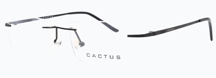 Cactus Argun