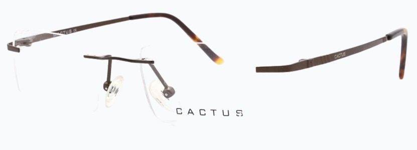 Cactus Argun
