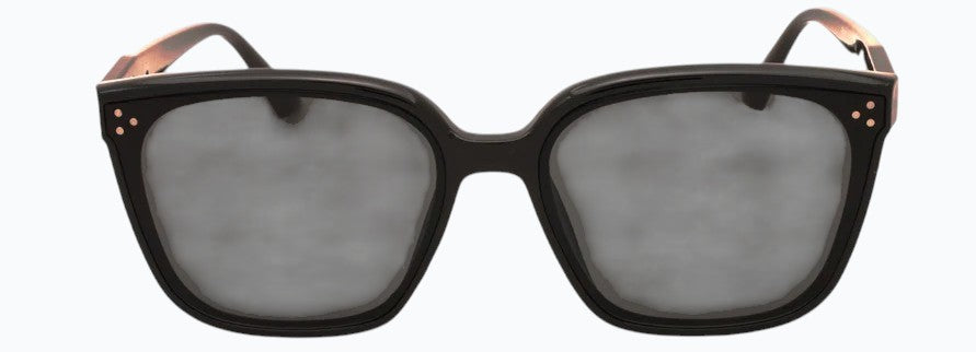 Rossi B356013