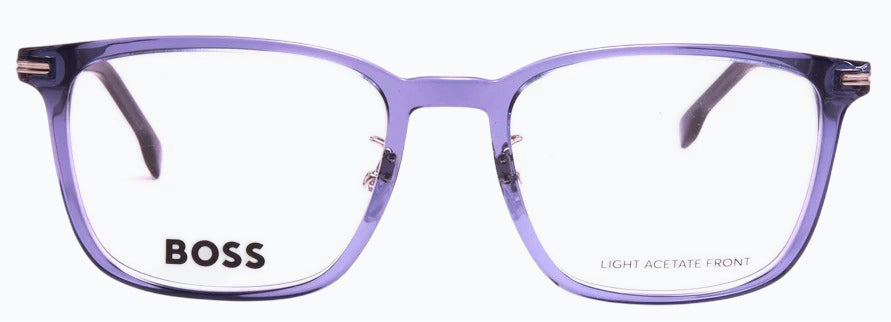 Hugo Boss Boss1741/F