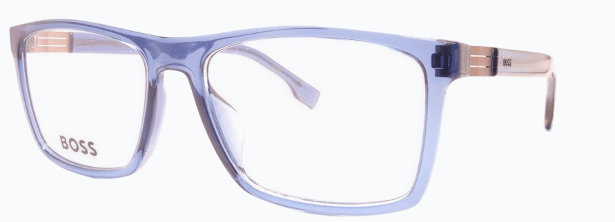 Hugo Boss Boss1701/G