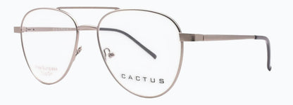 Cactus C8040