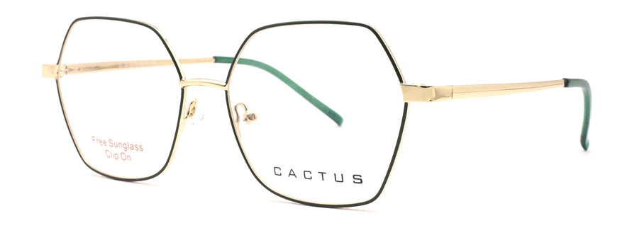 Cactus C8041