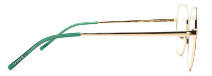 Cactus C8041