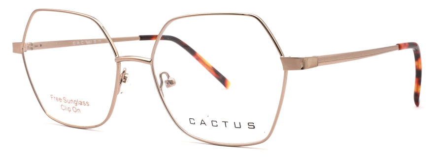 Cactus C8041