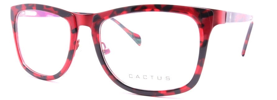 Cactus 151014-2