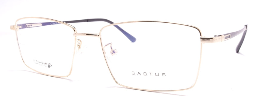 Cactus 18164