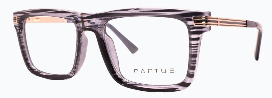 Cactus Archer