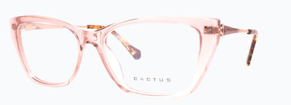 Cactus Bridge