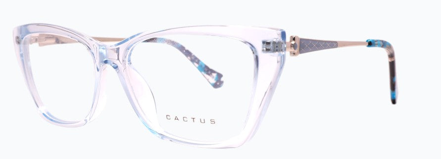 Cactus Bridge