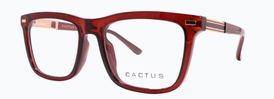 Cactus Edison