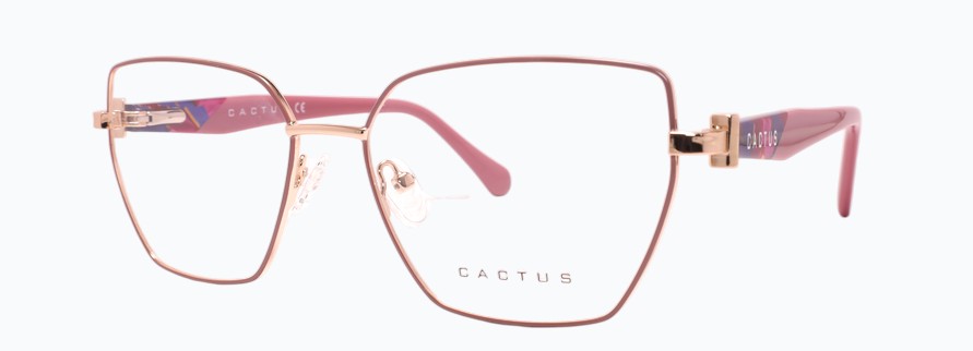 Cactus Indie
