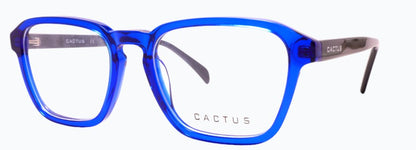 Cactus Jetsam