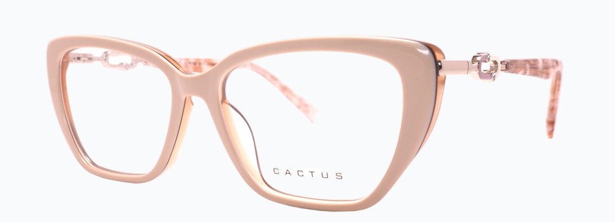 Cactus Junction
