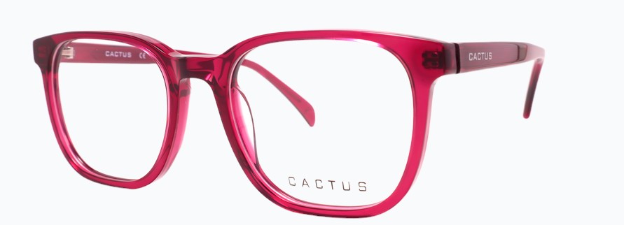Cactus Key