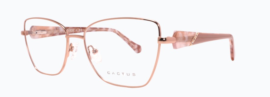 Cactus Leaf