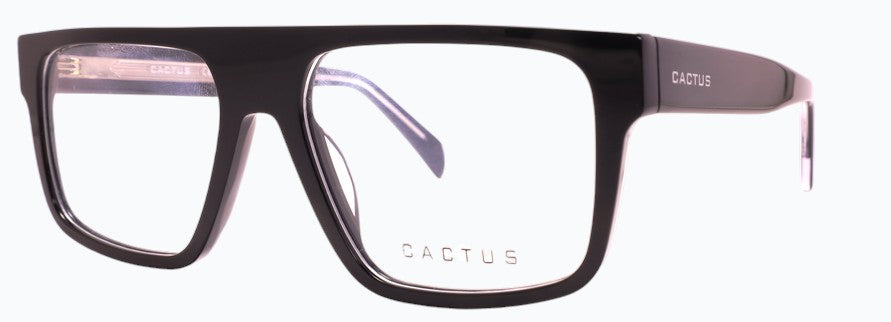 Cactus Puddle