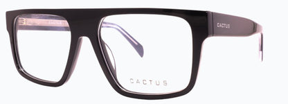 Cactus Puddle