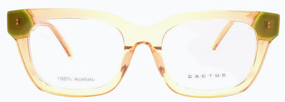 Cactus FD1120