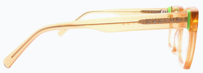 Cactus FD1120
