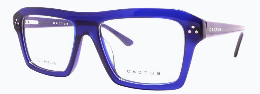 Cactus FD9013