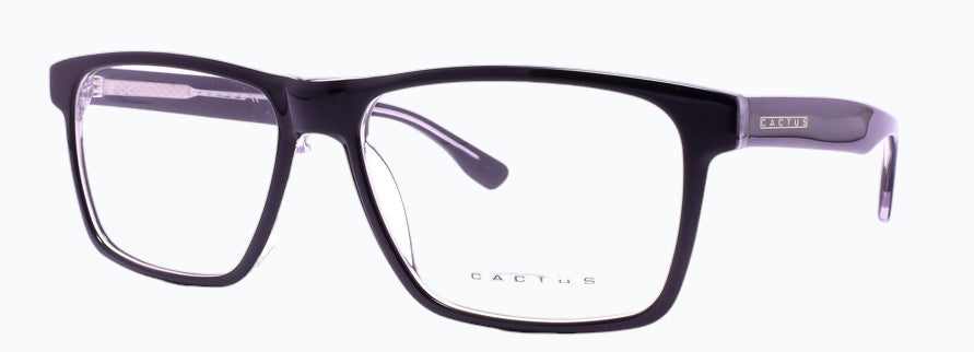 Cactus 240625
