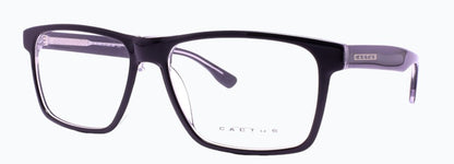 Cactus 240625