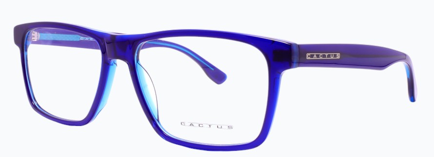 Cactus 240625