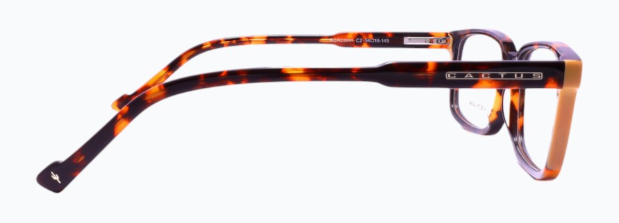 Cactus RGR23011