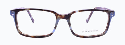 Cactus RGR23011