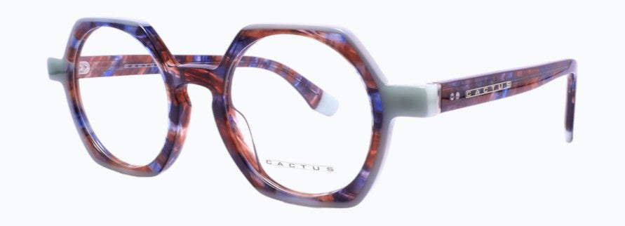Cactus Static