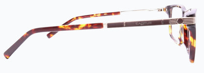 Cactus OA417-1