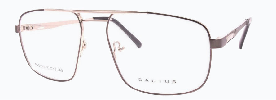 Cactus Padova
