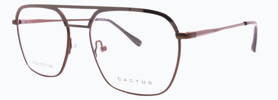 Cactus Paris
