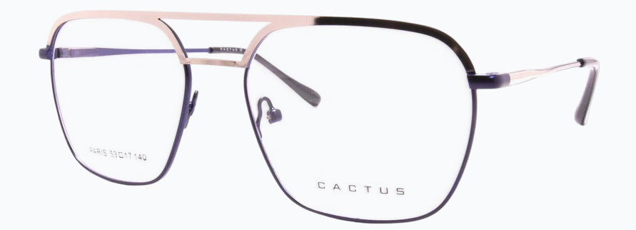 Cactus Paris