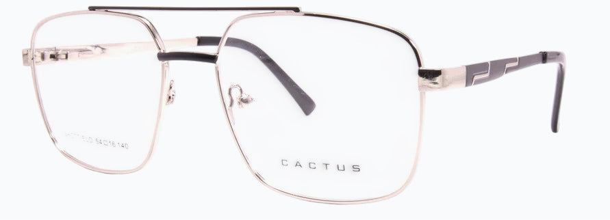 Cactus Sheffield