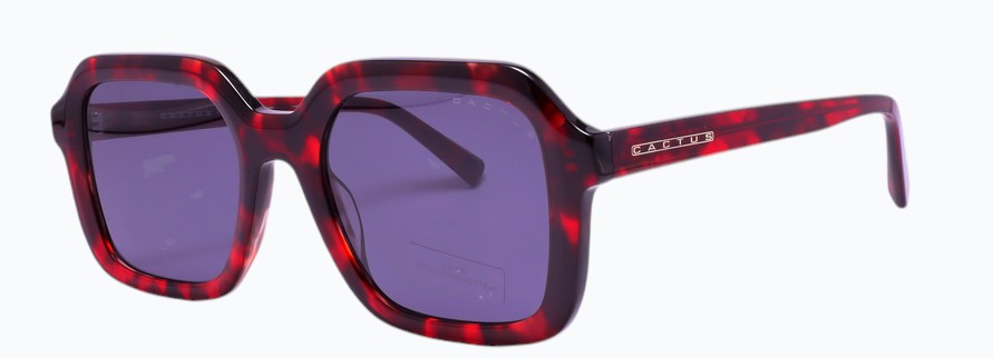 Cactus TY23565K