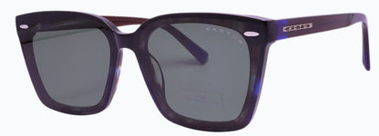 Cactus TY23576K