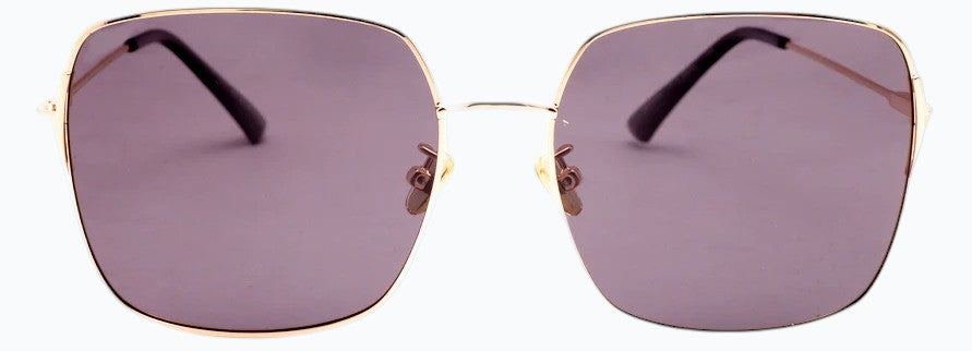 Cactus VE5608